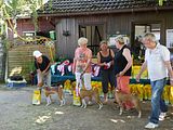 Golden Rabbit European Sandtrack-Derby Th. Ernst (230)